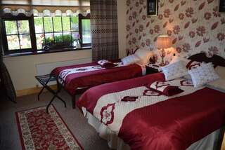 Отели типа «постель и завтрак» Weir view Bed and Breakfast Дарроу Двухместный номер Делюкс с 1 кроватью или 2 отдельными кроватями, вид на сад-5