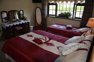 Отели типа «постель и завтрак» Weir view Bed and Breakfast Дарроу Двухместный номер Делюкс с 1 кроватью или 2 отдельными кроватями, вид на сад-10